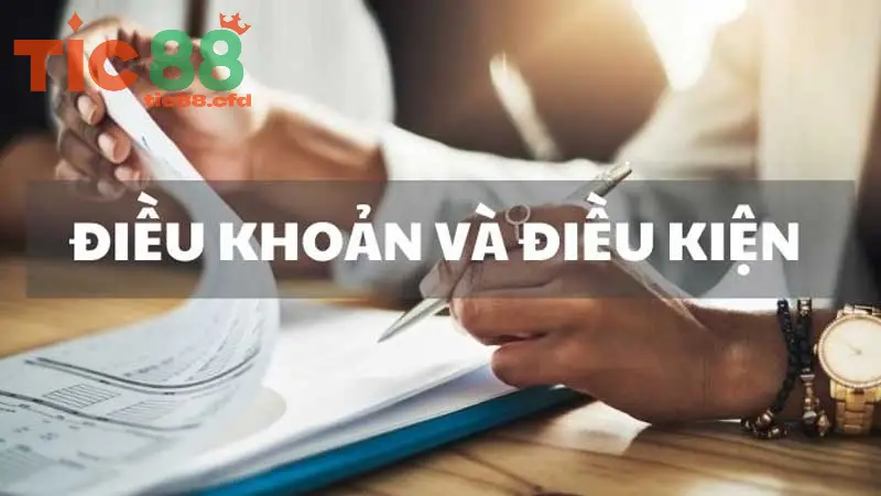 Cần Lưu Ý Những Điểm Nào Khi Đọc Điều Khoản?