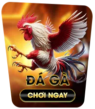 TIC88 - Nhà Cái Hàng Đầu Châu Á với Dịch Vụ Vượt Trội 13 icon da ga.png