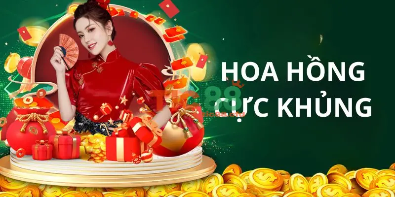 Những Gói Hợp Tác Đại Lý Đang Có Tại TIC88