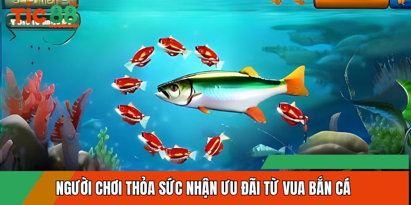 Người chơi thỏa sức nhận ưu đãi từ vua bắn cá